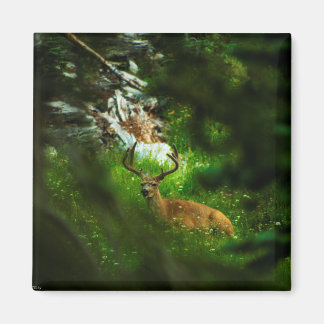 The Forest Prince Magnet