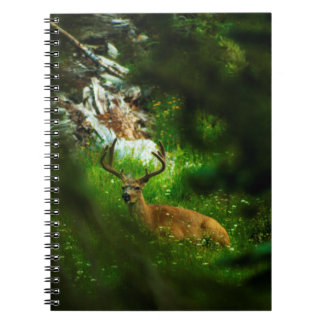 The Forest Prince Notebook