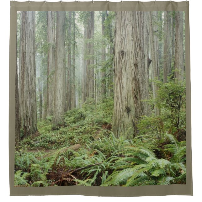 THE FOREST SHOWER CURTAIN (Front)