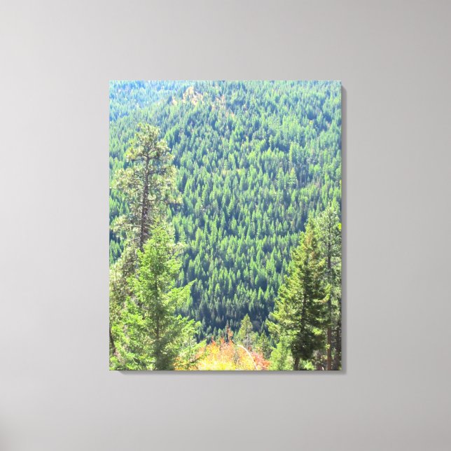 The Forest Wrapped Canvas Print (Front)