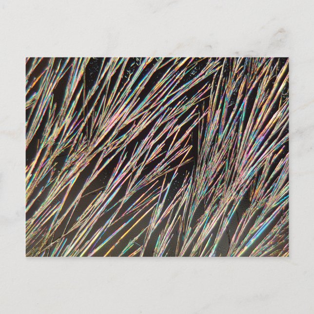 The form of fragrance: Coumarin crystals Postcard (Front)