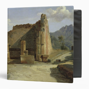 The Forum of Pompeii 3 Ring Binder