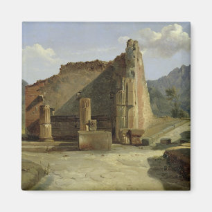 The Forum of Pompeii Magnet
