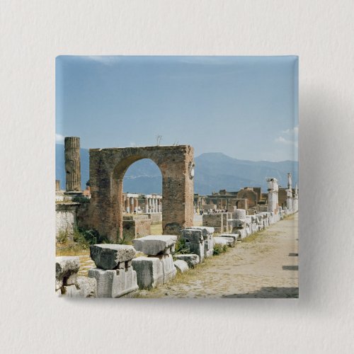 The Forum with the mountains in the background Pinback Button