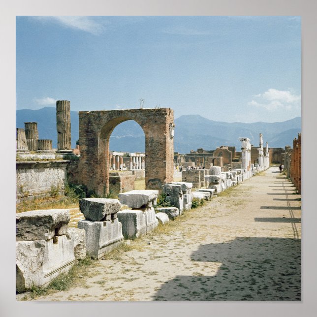 The Forum with the mountains in the background Poster (Front)