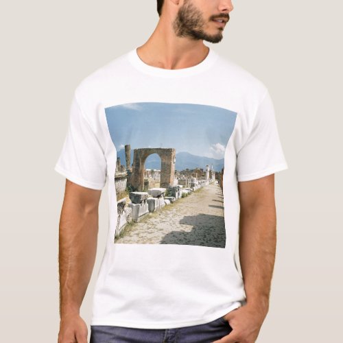 The Forum with the mountains in the background T_Shirt