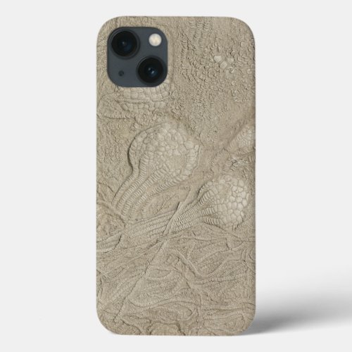 The Fossil Collection Jellyfish iPhone 13 Case