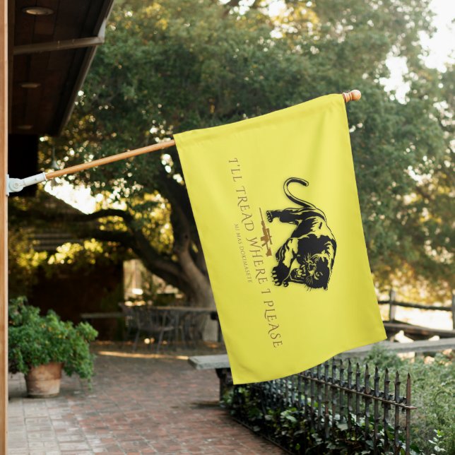 The Founders Flag (The 66) (In SItu)