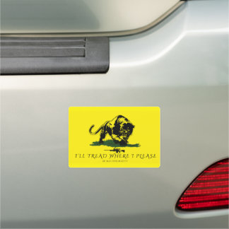 The Founders Flag (The 66) Car Magnet