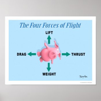 The Four Forces Of Flight By Sandra Boynton Poster by SandraBoynton at Zazzle