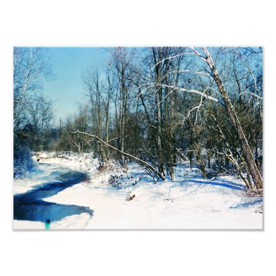 The four seasons photo print