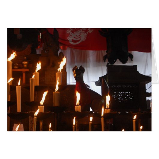 The Fox (Front Horizontal)