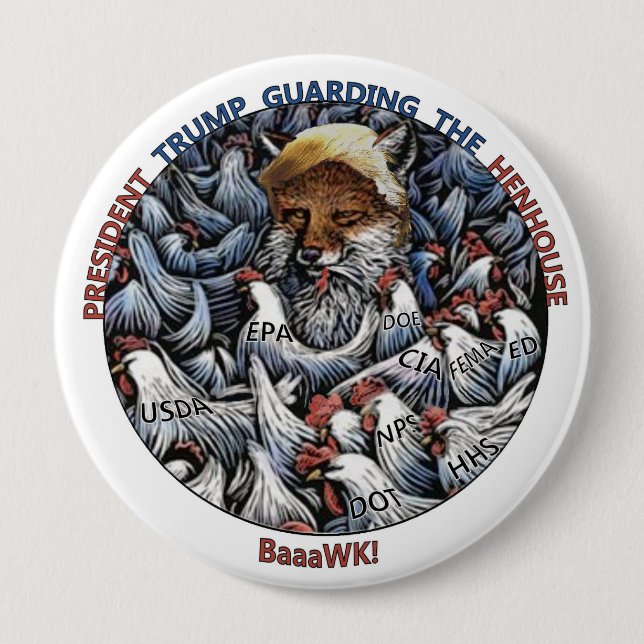The Fox amongst the chickens Pinback Button (Front)