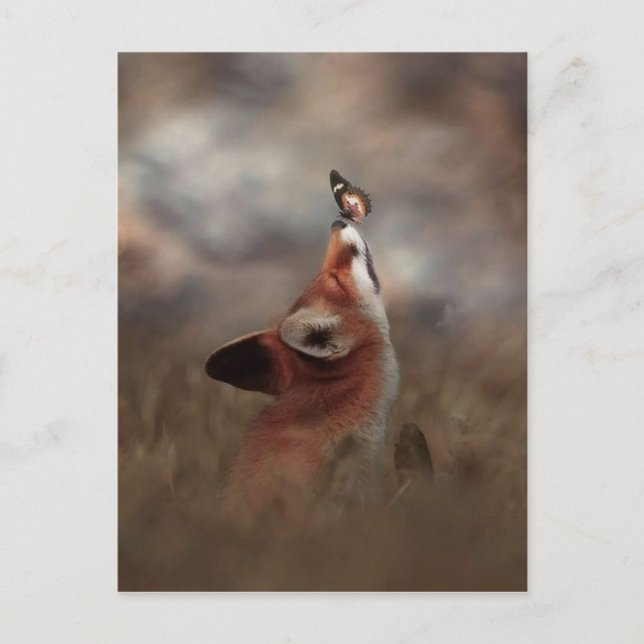 The fox and the butterfly postcard (Front)