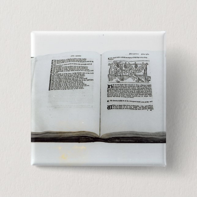 The Fox and the Grapes Pinback Button (Front)