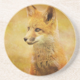 The Fox in the Wood Drink Coaster
