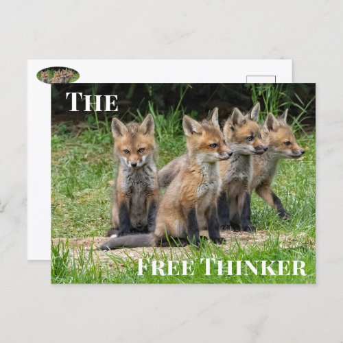 The Free Thinker Fox Postcard