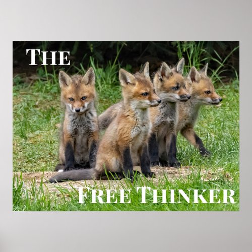 The Free Thinker Fox Poster