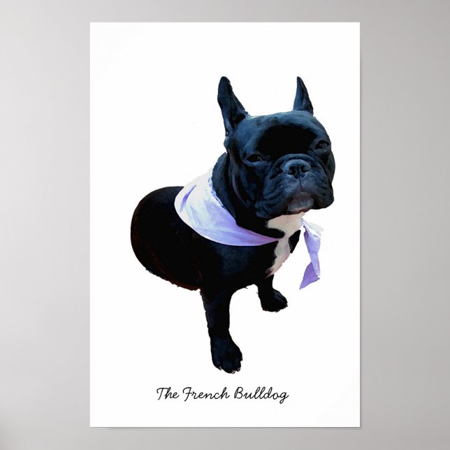 The French Bulldog Poster (Front)