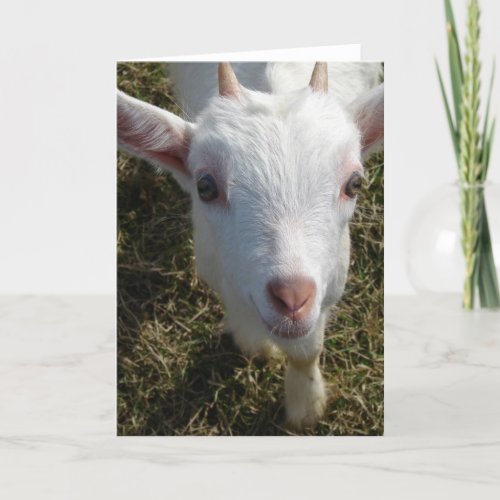 The Friendly Goat Card