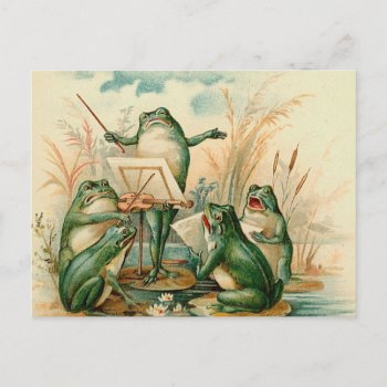 The Frog Band Postcard by tnmpastperfect at Zazzle