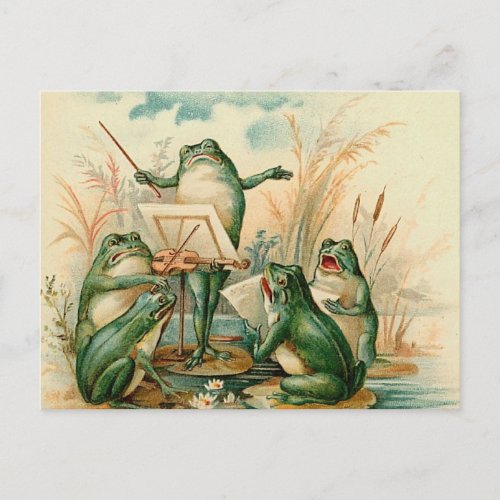 The Frog Band Postcard