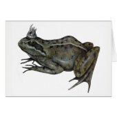 The Frog Prince. (Front Horizontal)