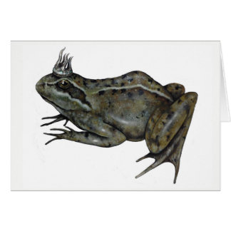 The Frog Prince. Cards
