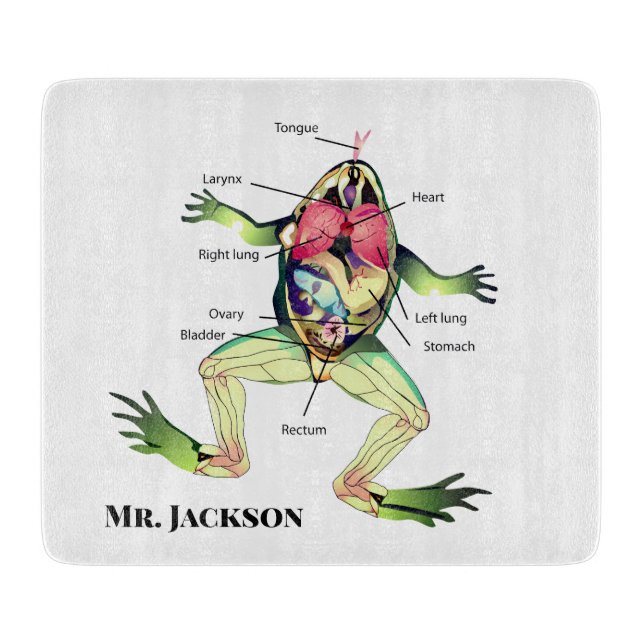 The Frog's Anatomy Add Name Cutting Board (Front)