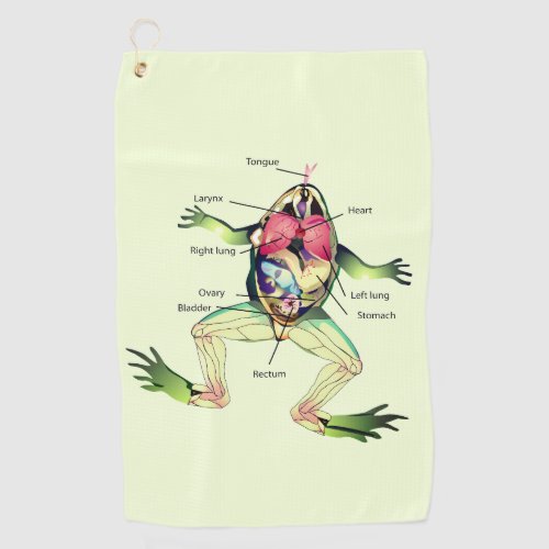 The Frogs Anatomy Art Green Golf Towel