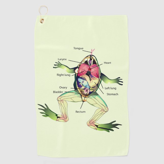 The Frog's Anatomy Art Green Golf Towel (Front)