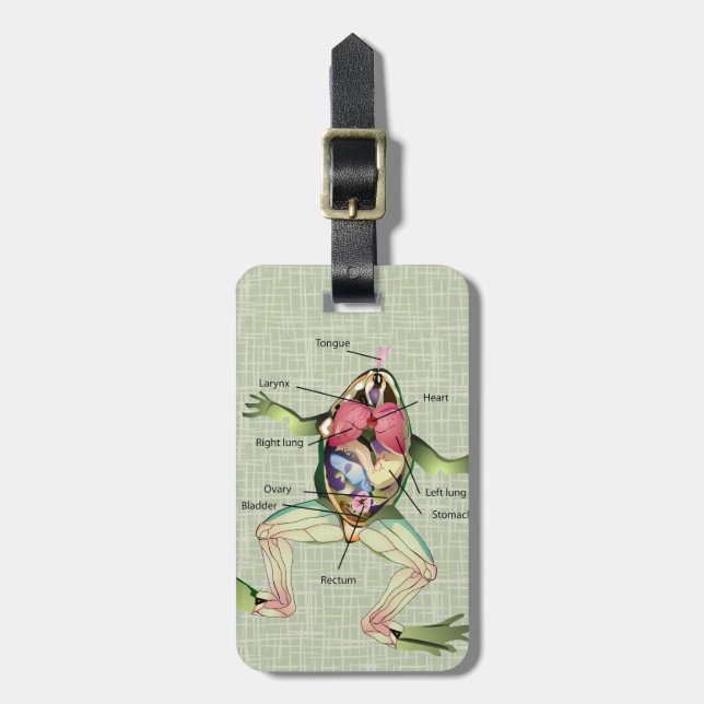 The Frog's Anatomy Graphic Illustration Luggage Tag (Front Vertical)