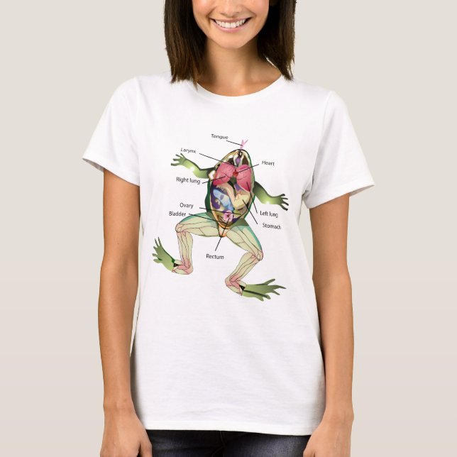 The Frog's Anatomy Graphic Illustration T-Shirt (Front)