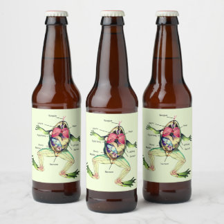 The Frog's Anatomy Green Beer Bottle Label