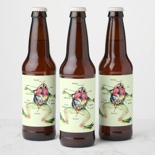 The Frogs Anatomy Green Beer Bottle Label