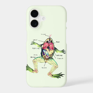The Frog's Anatomy Green iPhone 17 Case