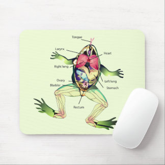 The Frog's Anatomy Green Mouse Pad