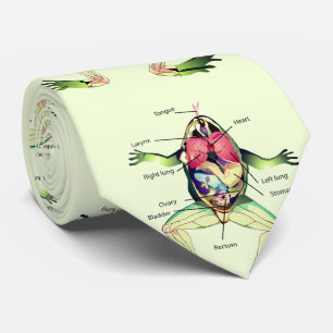 The Frog's Anatomy Green Neck Tie