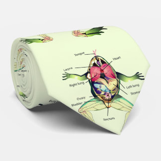 The Frog's Anatomy Green Neck Tie