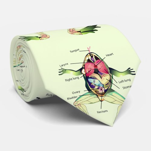 The Frogs Anatomy Green Neck Tie