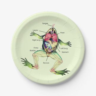 The Frog's Anatomy Green Paper Plates