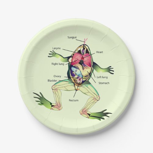 The Frogs Anatomy Green Paper Plates