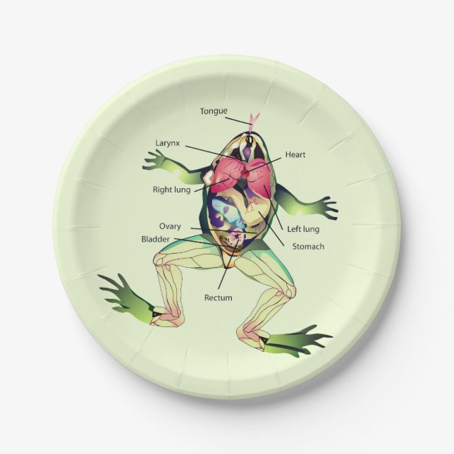 The Frog's Anatomy Green Paper Plates (Front)