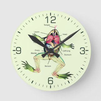 The Frog's Anatomy Green Round Clock