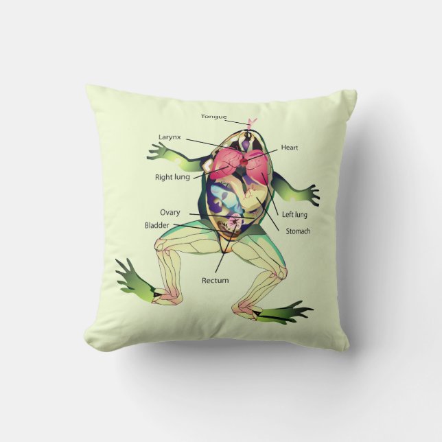 The Frog's Anatomy Green Throw Pillow (Front)