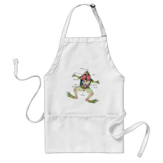 The Frog's Anatomy Illustration Adult Apron