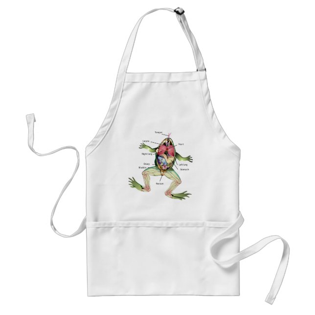 The Frog's Anatomy Illustration Adult Apron (Front)