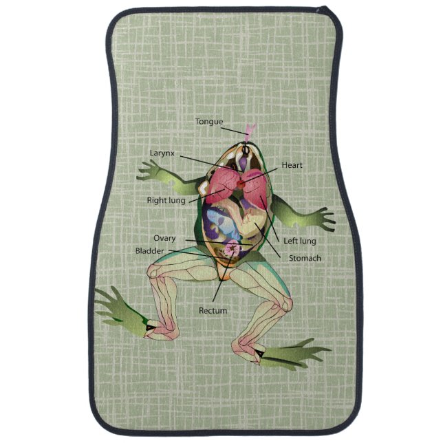 The Frog's Anatomy Illustration Car Mat (Front)