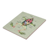 The Frog's Anatomy Illustration Ceramic Tile (Side)