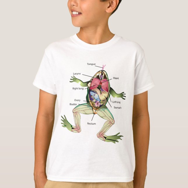 The Frog's Anatomy Illustration Drawing T-Shirt (Front)